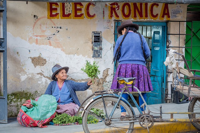 DAL MONDO - Perù, in piena campagna elettorale si parla di eutanasia e matrimoni gay 1