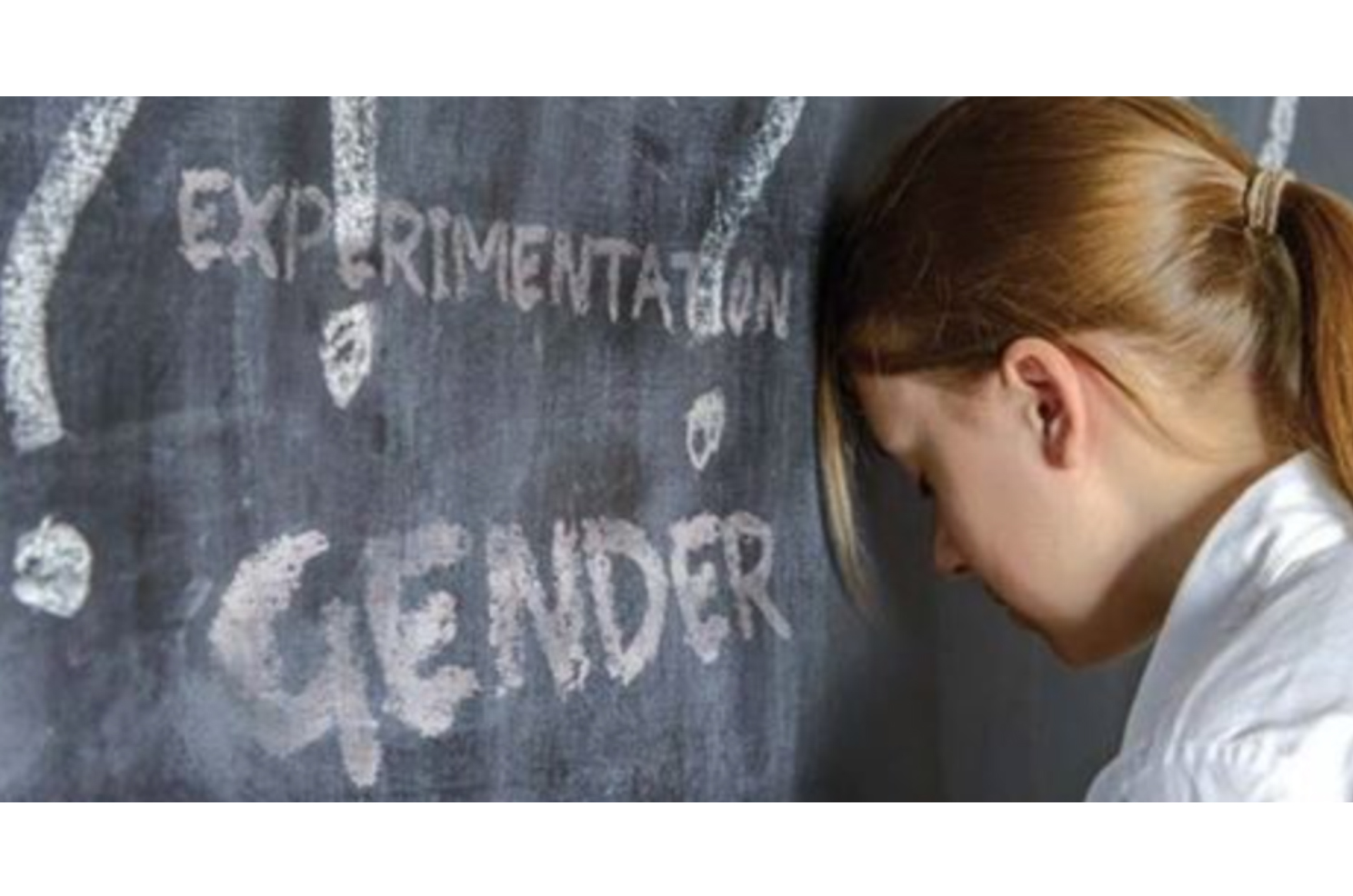 La piattaforma WeSchool viola il primato educativo delle famiglie: proposto ai docenti un questionario gender da somministrare agli alunni 1