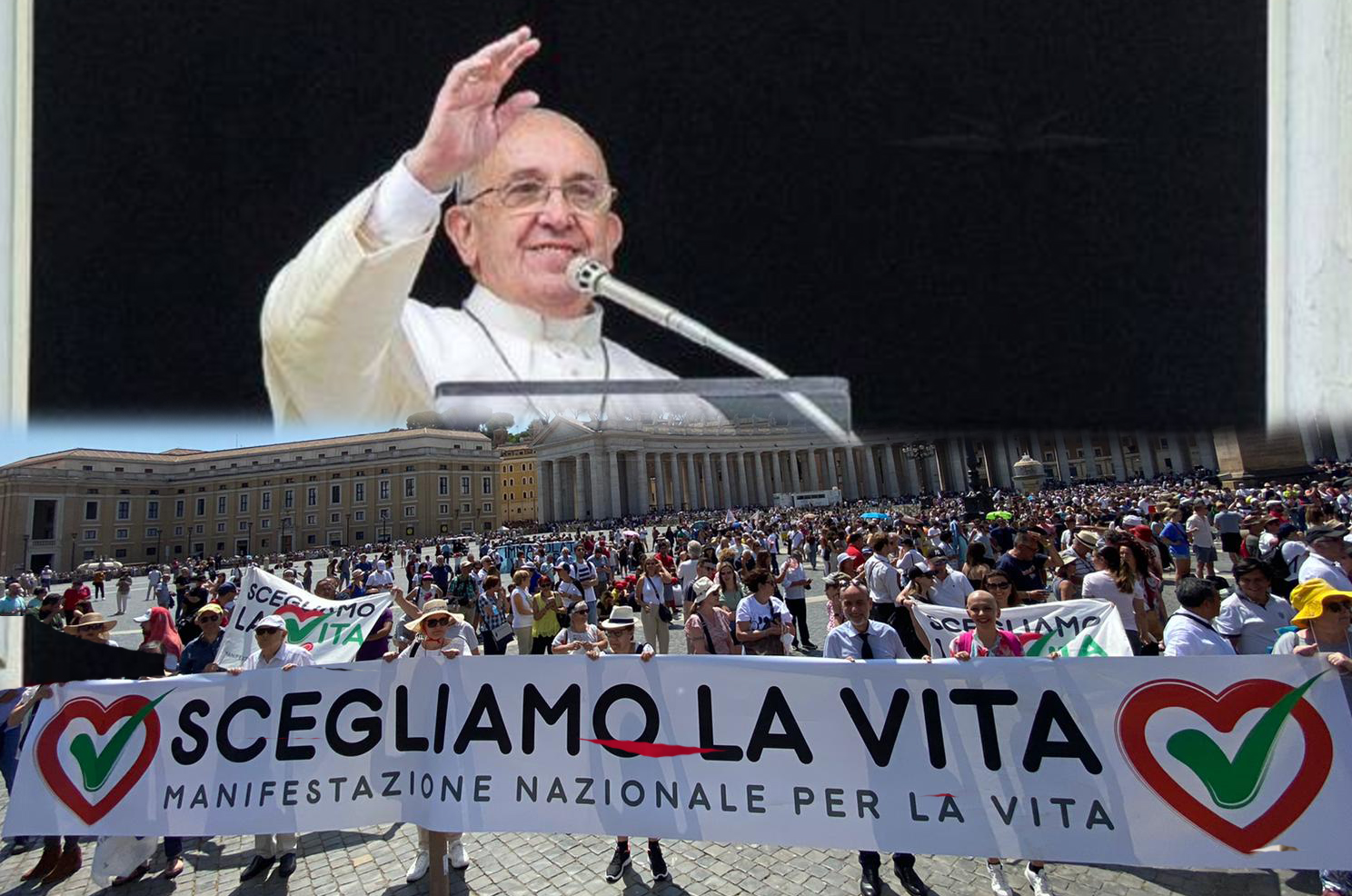 Il saluto di Papa Francesco alla Manifestazione “Scegliamo la Vita” 1