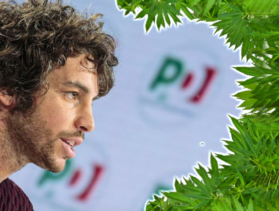 Cannabis Santori. Pro Vita & Famiglia: «Lepore ritiri delega politiche giovanili» 1