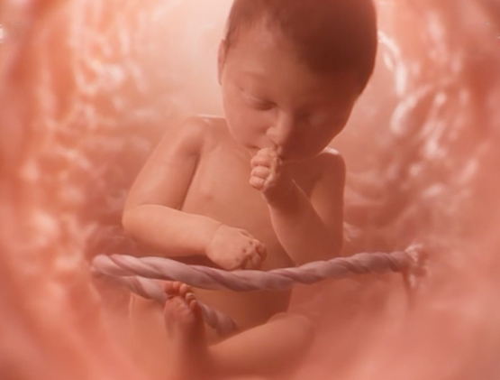 Baby Olivia, il video virale sullo sviluppo di un bambino nel grembo 1