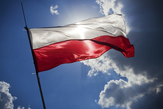 Polonia. Bene stop Parlamento alla depenalizzazione dell'aborto. Maggioranza Tusk spaccata. Brandi: «Italia prenda esempio» 1