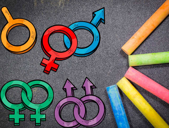 Come la scuola diventa terreno fertile per la propaganda gender 1