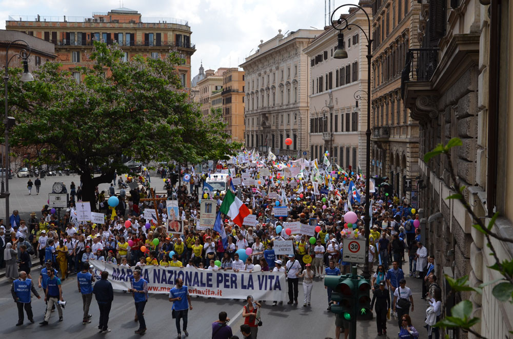 Il Comitato Verità e Vita alla Marcia Nazionale per la Vita 2014 1